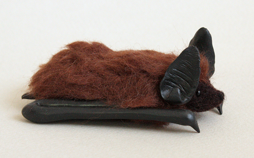 Big brown bat