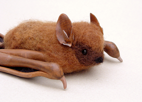 Eastern pipistrelle
