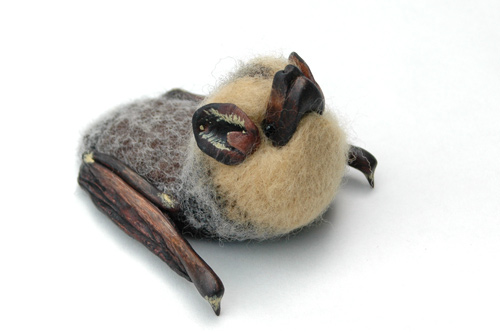 Hoary Bat