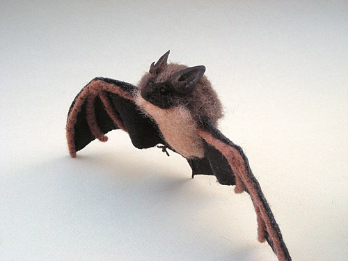 Little brown bat