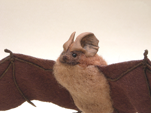 Mexican Freetail Bat