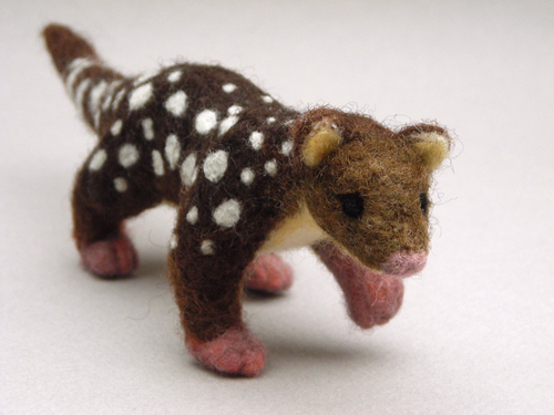 Tiger quoll