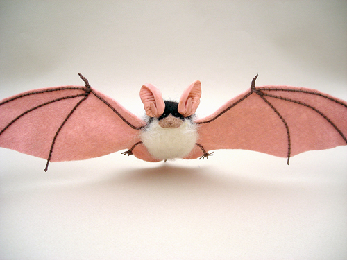 Spotted bat