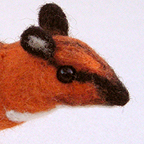 Greater chevrotain