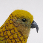 Kea