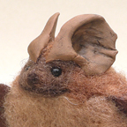 Mexican Freetail Bat