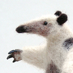 Tamandua